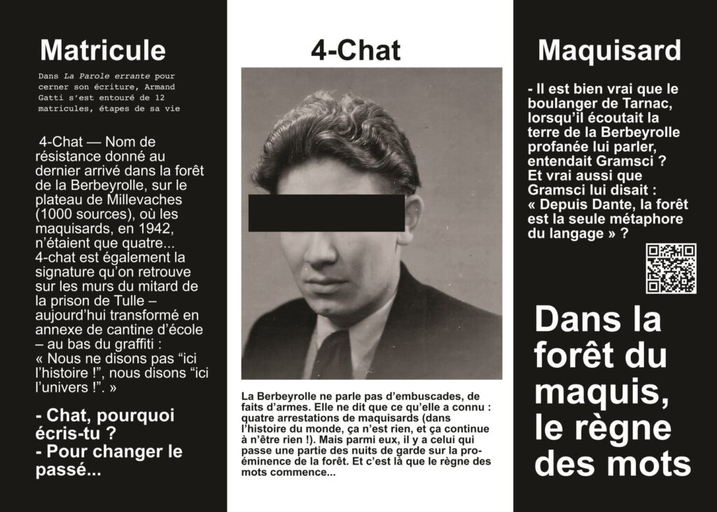 Matricule Chat #2